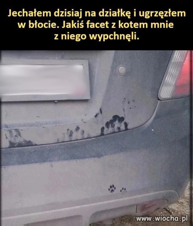 No i pięknie