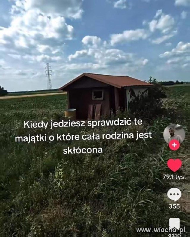 Bez kitu