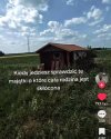 Bez kitu
