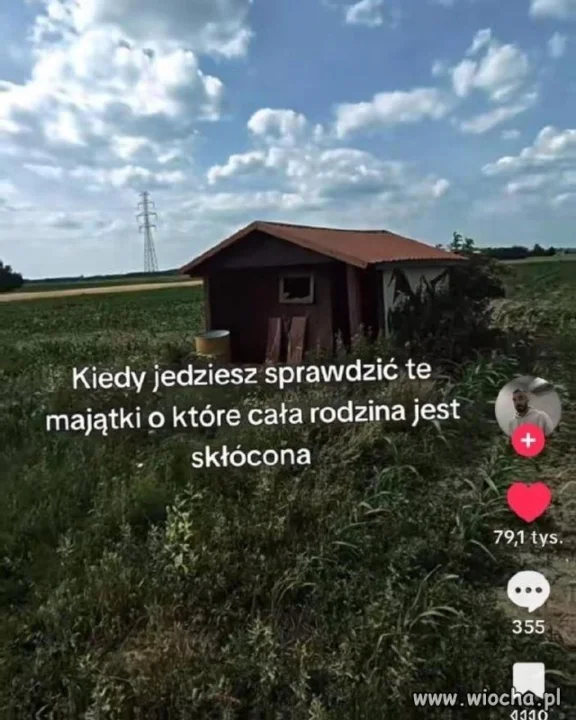 Bez kitu