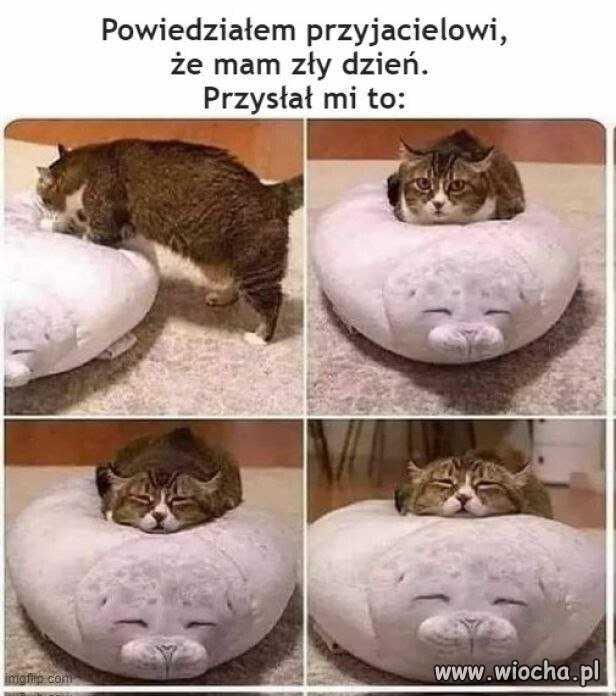 To już nie przyjaciel