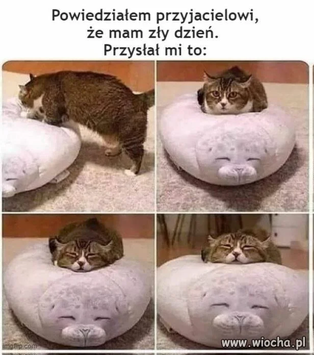 To już nie przyjaciel