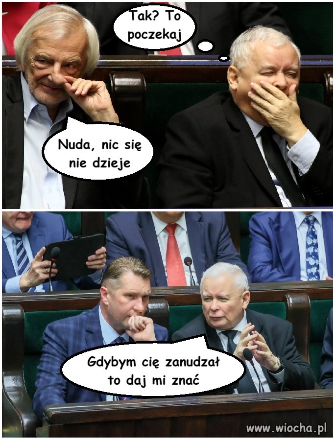 Pies dostał kopa w dudę