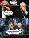 Pies dostał kopa w dudę