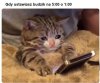 Nocne rozczarowanie