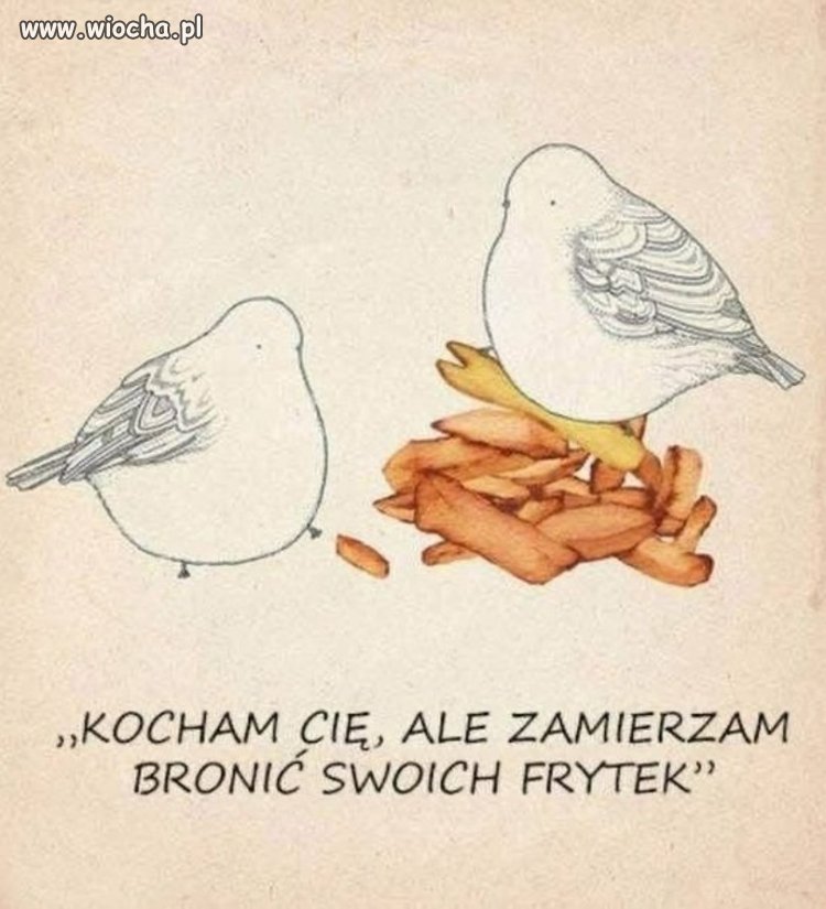 Frytki ważniejsze niż miłość