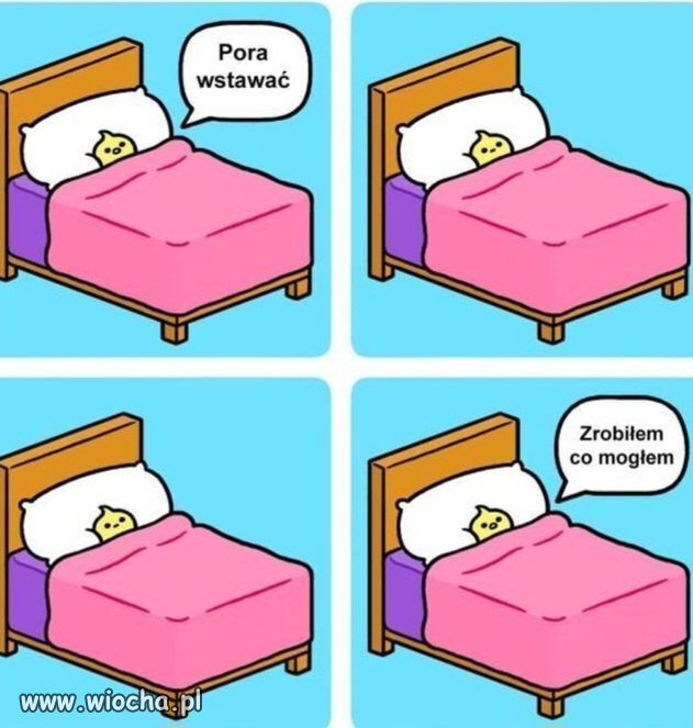 I tak każdego poranka 