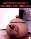 Bez polityki 