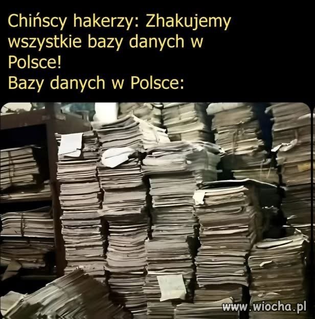 Jedyny plus biurokracji