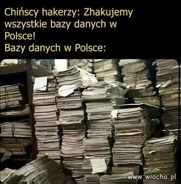 Jedyny plus biurokracji