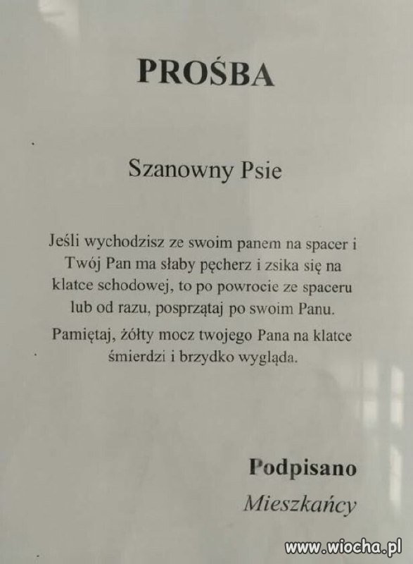Może to nie psy są problemem