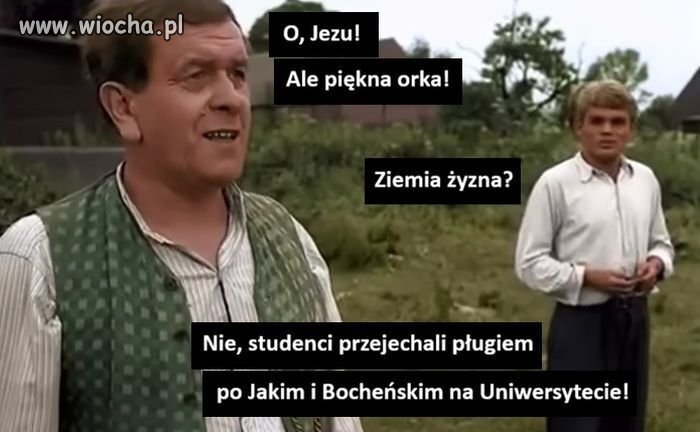 No sami swoi 