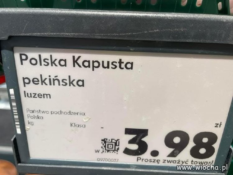 To w końcu kapusta jest polska?
