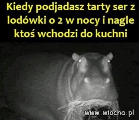 Co się gapisz?