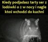 Co się gapisz?
