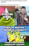 Jeden głupszy od drugiego 