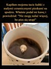 Pieski w każdym uwydatniają tą delikatną stronę