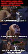 I tak to w tej naszej polityce jest 