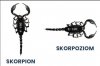 Skorpion czy skorpzion?