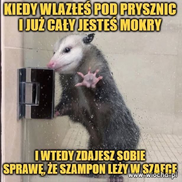Co robić?