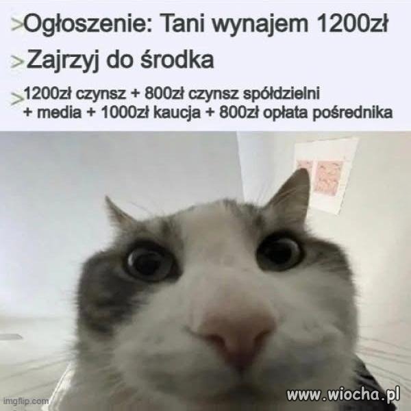 Kawalerka w przyjemnej cenie