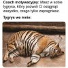Tygrys we mnie nie ma siły