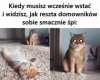 Poranek niesprawiedliwości