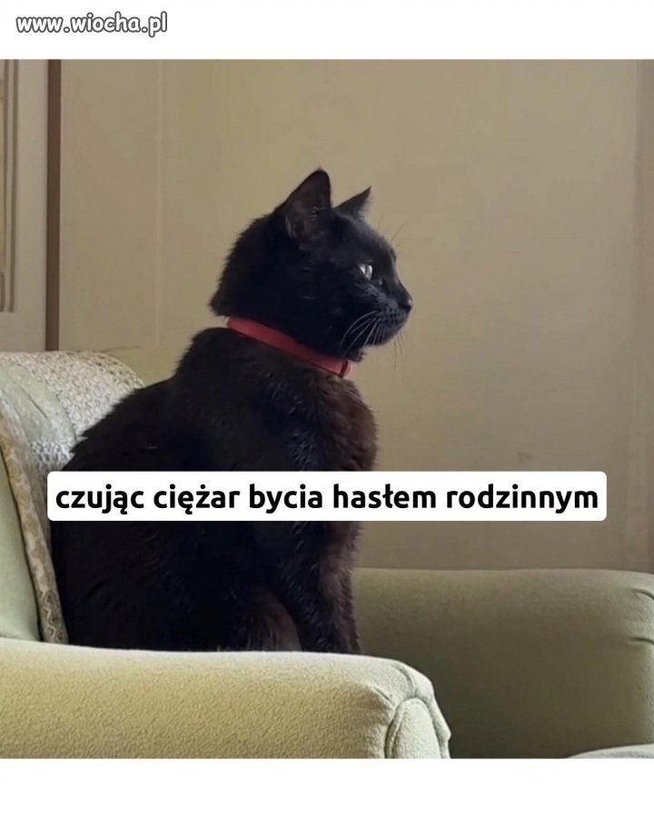 Hasło: Kuleczka12345