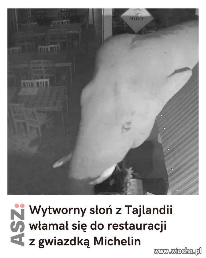 Ma chłopak gust
