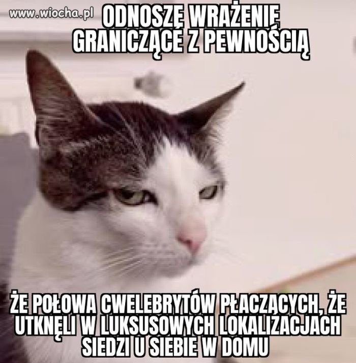 I tak właśnie to wygląda 