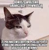 I tak właśnie to wygląda 