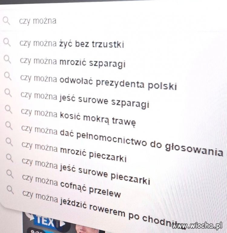 Ciekawe wyszukiwania