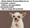 Typowe szukanie możliwości zatrudnienia