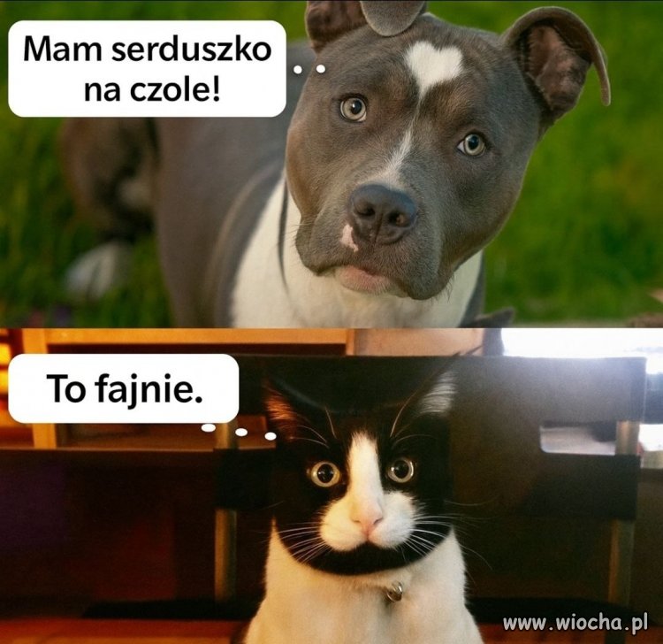 Serduszko na czole?