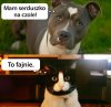 Serduszko na czole?