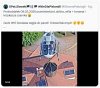 Czarnek z węgla robi prąd który zasila reflektory świecące na fotowoltaikę