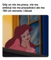 Rozsądek wyłączony