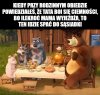 O ty mały konfidencie 