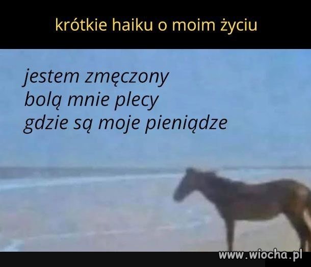 Wszystko się zgadza