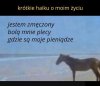 Wszystko się zgadza