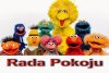 Tak to wygląda