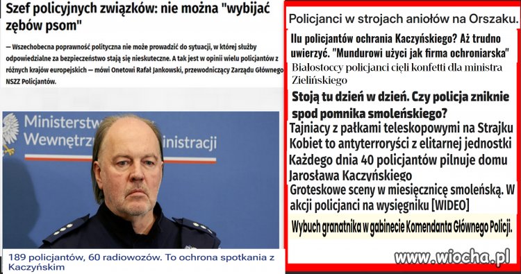 Obaczcie,on mówi o wybijaniu psom zebów