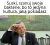 Kultura
