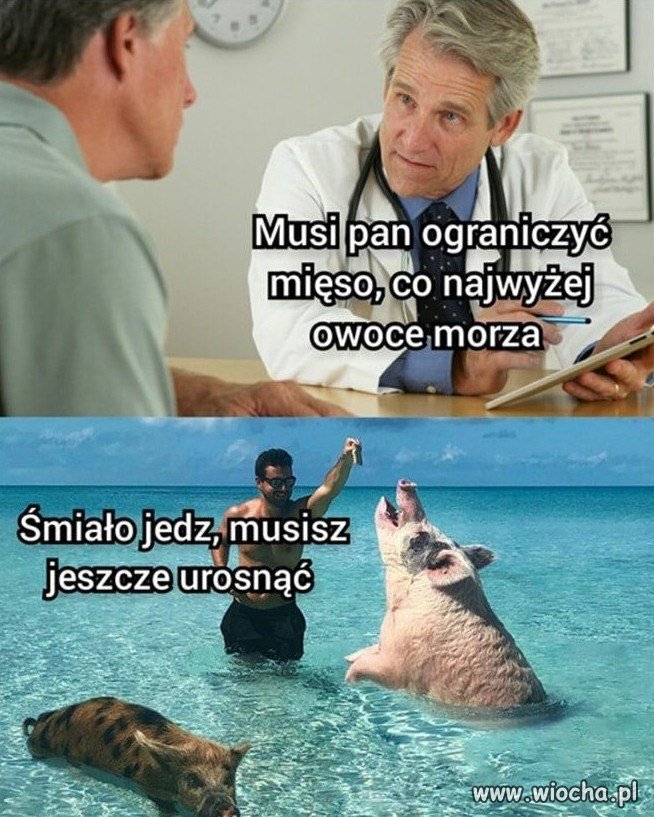 POV: Polak musi zrezygnować z mięsa