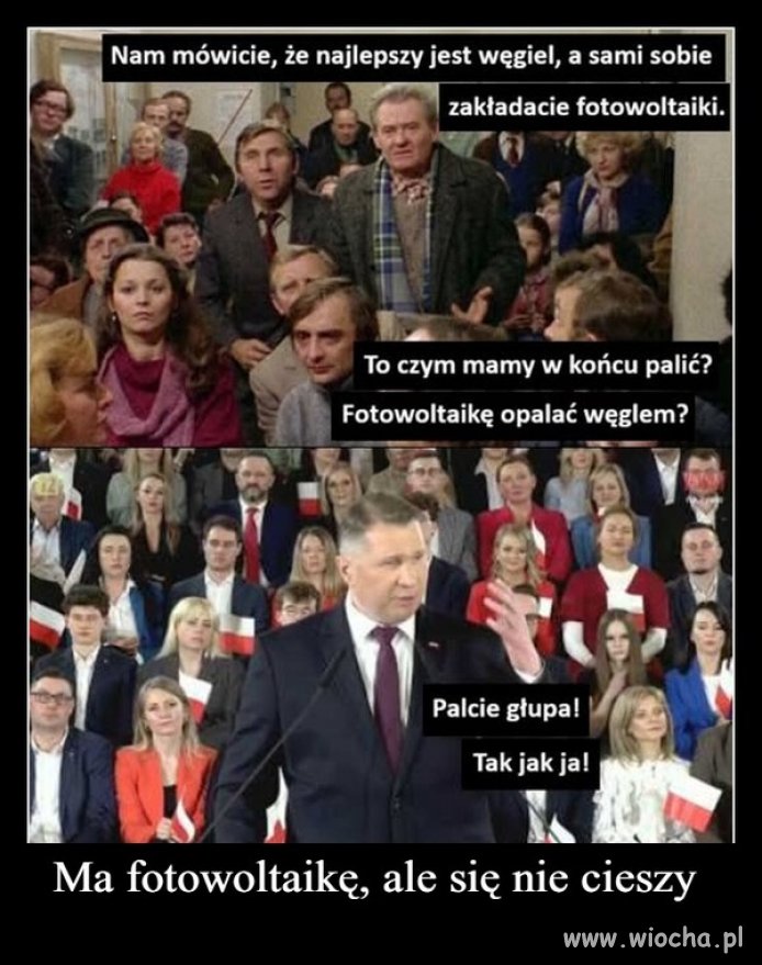 Zakłamany pisowski cham i prostak