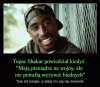 W punkt