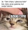 W tym momencie nastąpiła