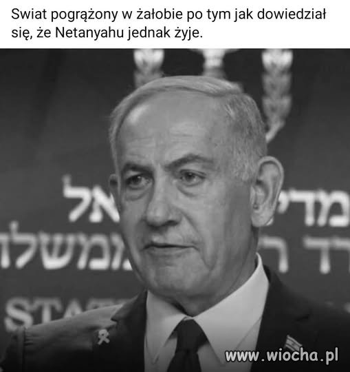 TRZEBA NIE MIEĆ HONORU, TAK , JAK PIS-owiec