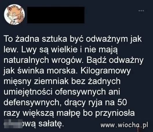 To ja
