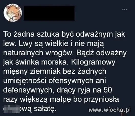 To ja